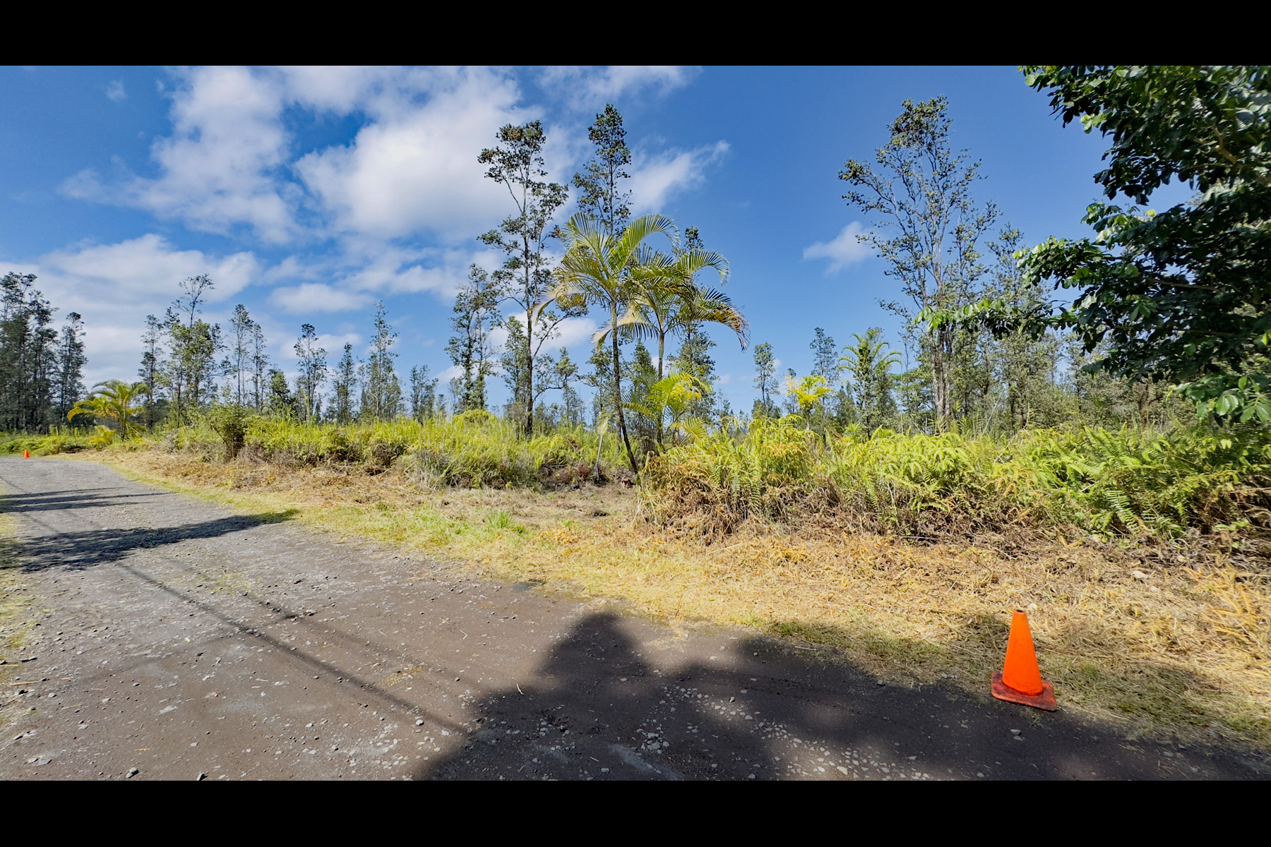 2444 Uhini Ana Road Mountain View, HI 96771 - Photo 13 of 27 a view of a yard with trees