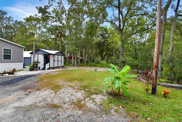 a dining room with furniture and a potted plant