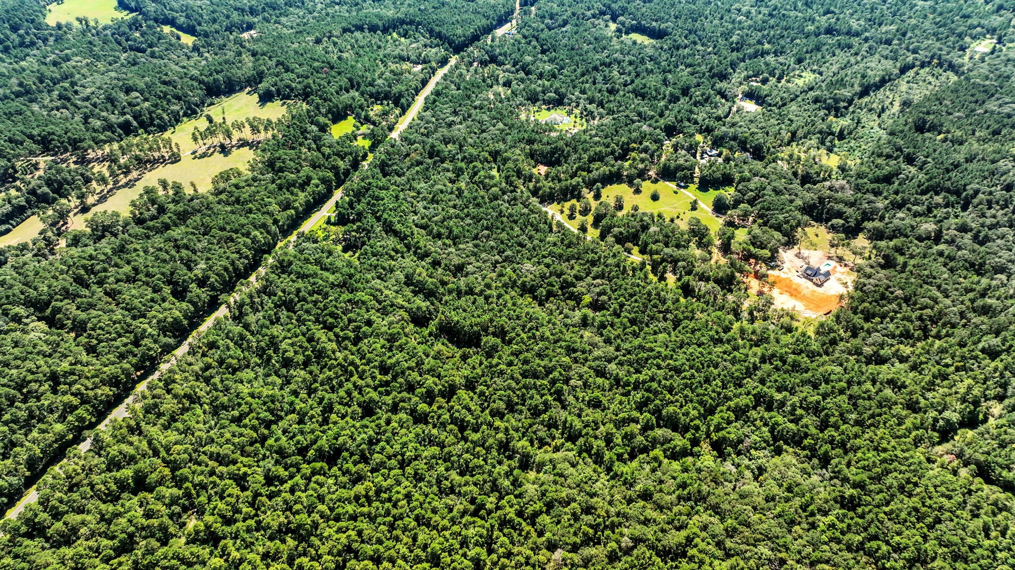 Tbd Shepard Road Coldspring, TX 77331 - Photo 5 of 8 Timber exemption currently in place for low taxes