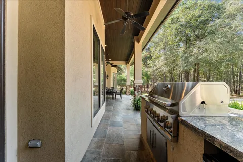 a view of a park with large tree