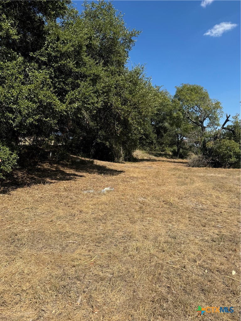 Lot 5 Bowles Ranch Road Belton, TX 76513 - Photo 3 of 4 a view of a yard