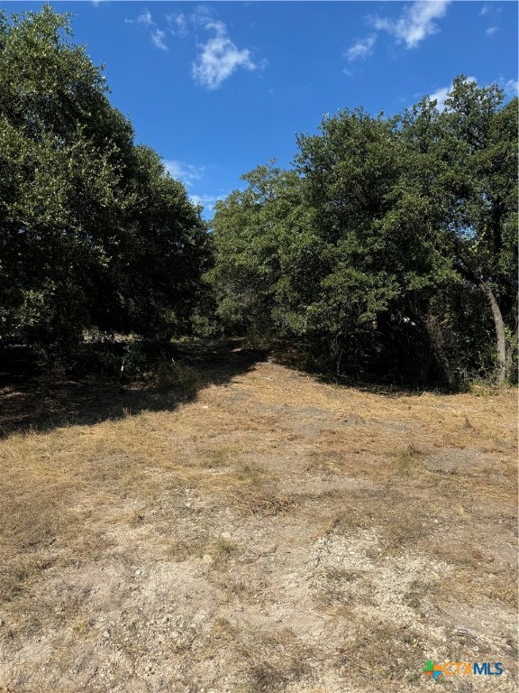 Lot 5 Bowles Ranch Road Belton, TX 76513 - Photo 4 of 4 a view of yard