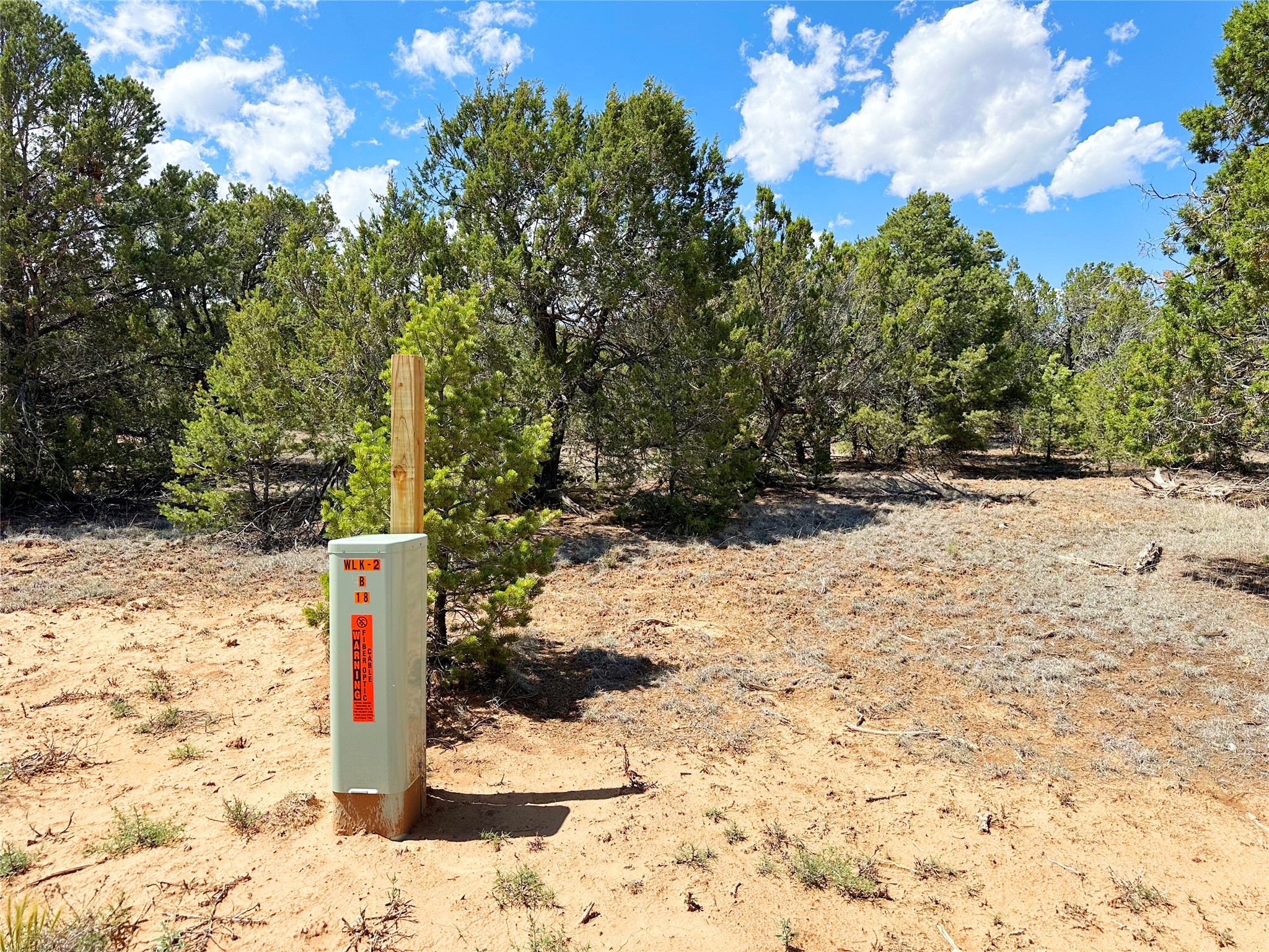 Lot 7 Tierra De Dios Ribera, NM 87560 - Photo 4 of 10