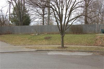 1421 Ritchie Court Lexington, KY 40503 - Photo 24 of 24 Front-side yard
