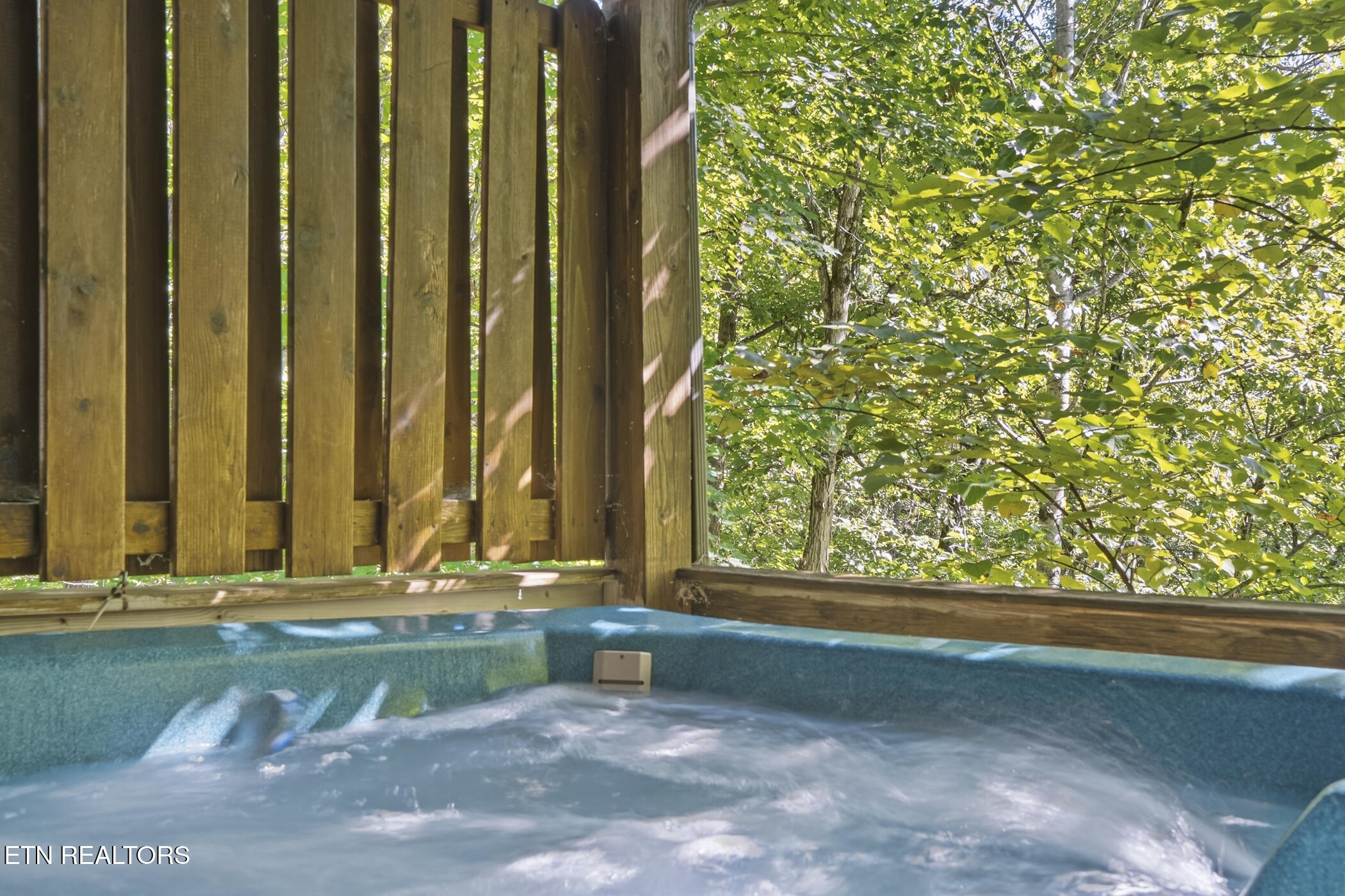 1660 Raccoon Den Way Sevierville, TN 37862 - Photo 26 of 52 dsc03192