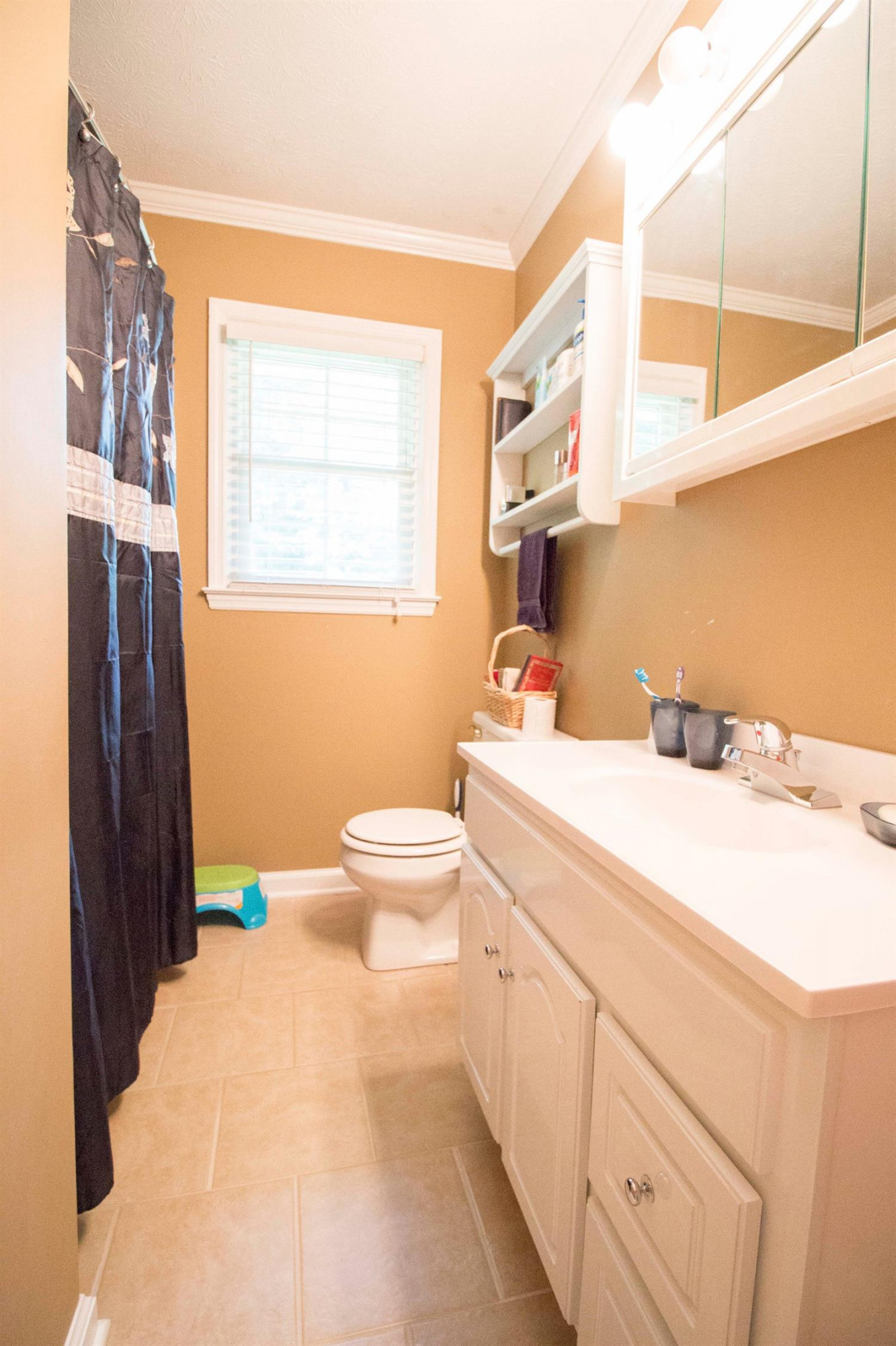 257 Dunroven Road Versailles, KY 40383 - Photo 4 of 16 Photo 4