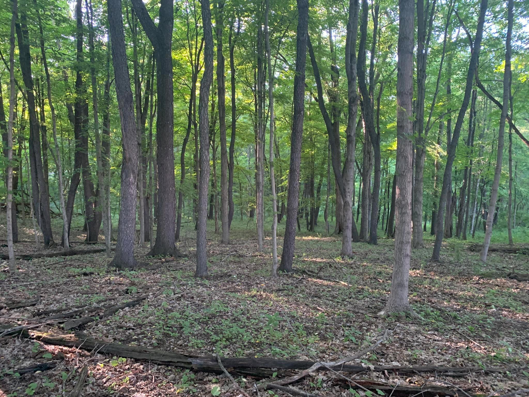 0 Gambier Road Mount Vernon, OH 43050 - Photo 11 of 14