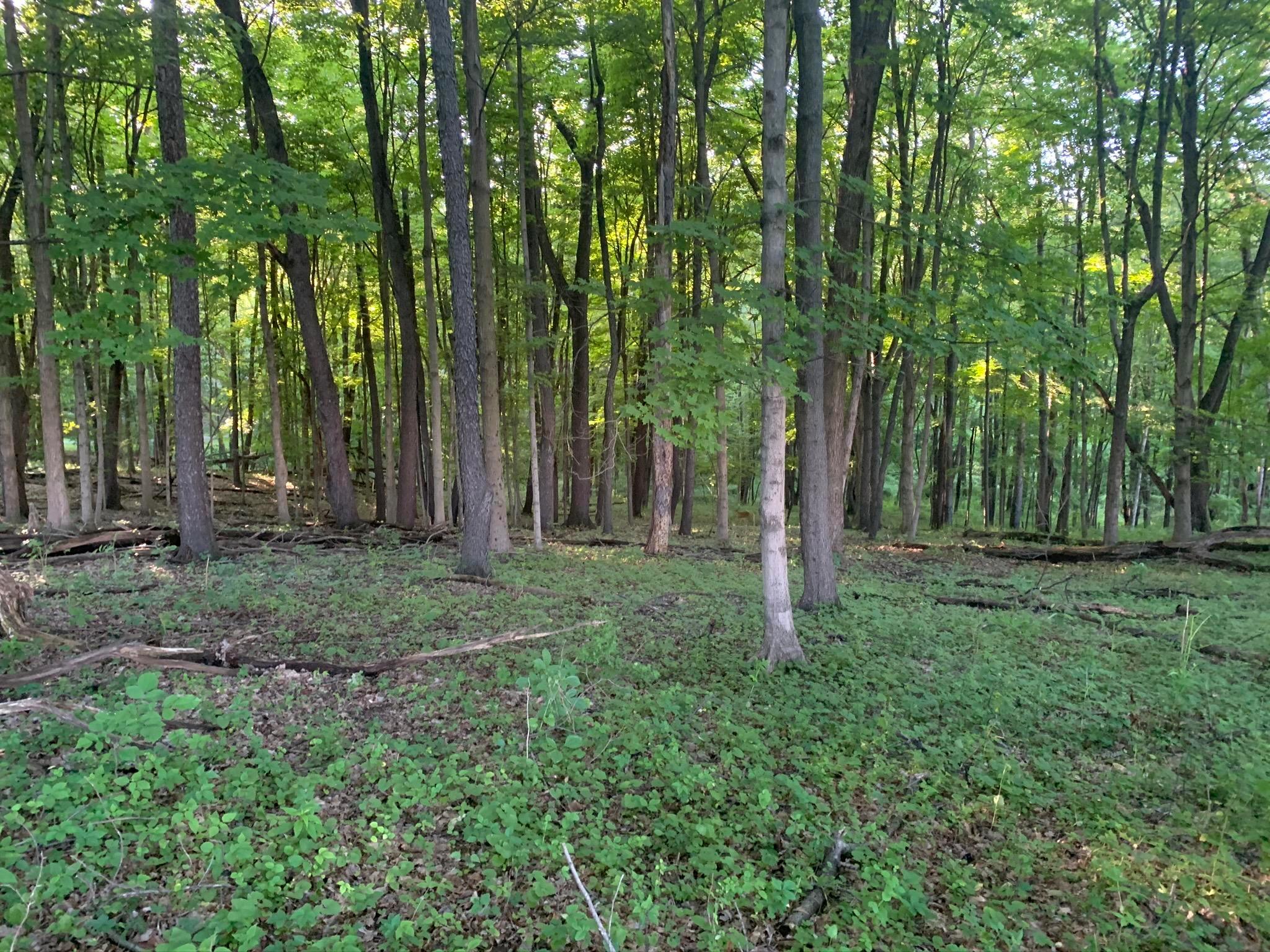 0 Gambier Road Mount Vernon, OH 43050 - Photo 2 of 14