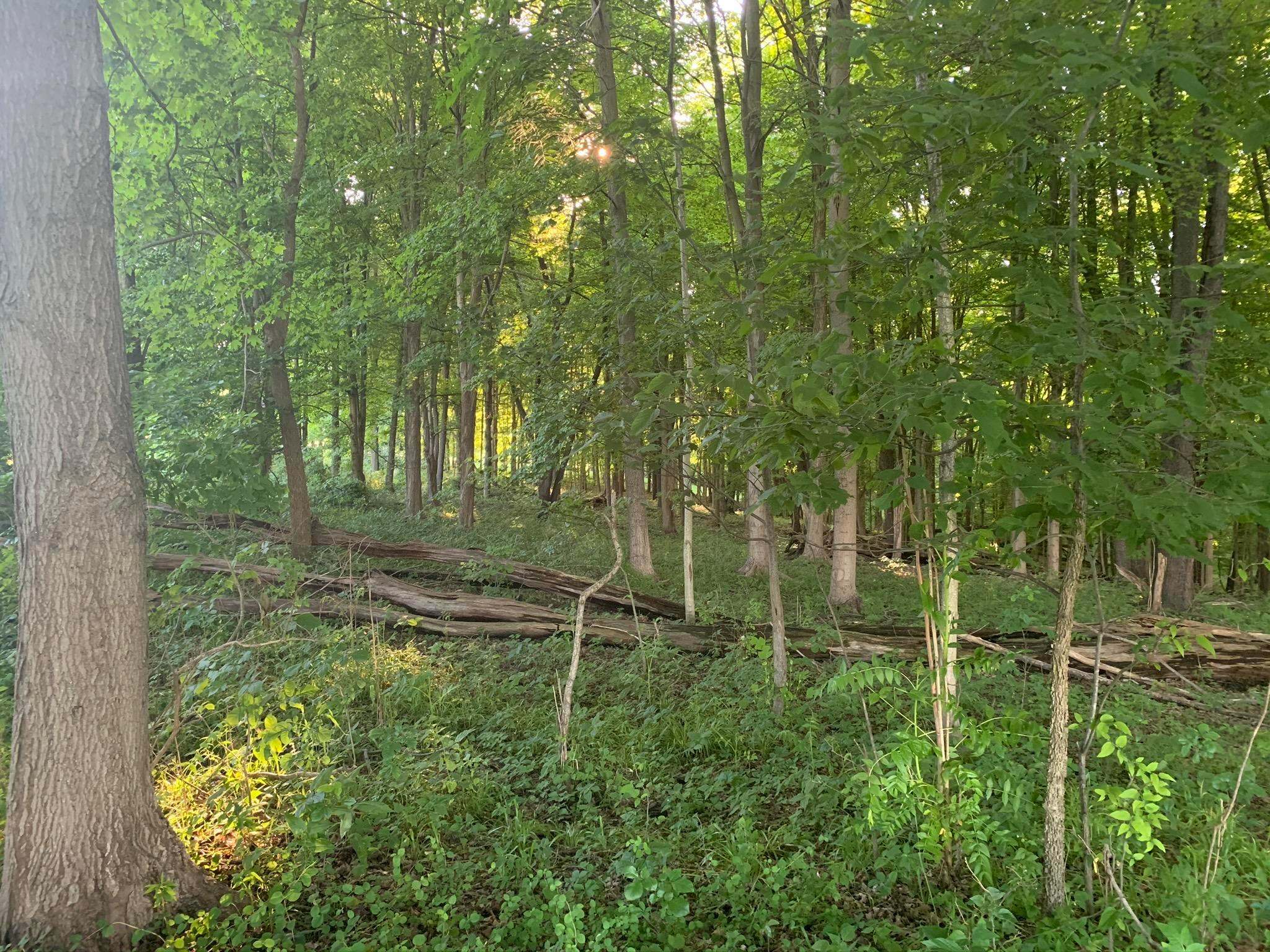 0 Gambier Road Mount Vernon, OH 43050 - Photo 5 of 14