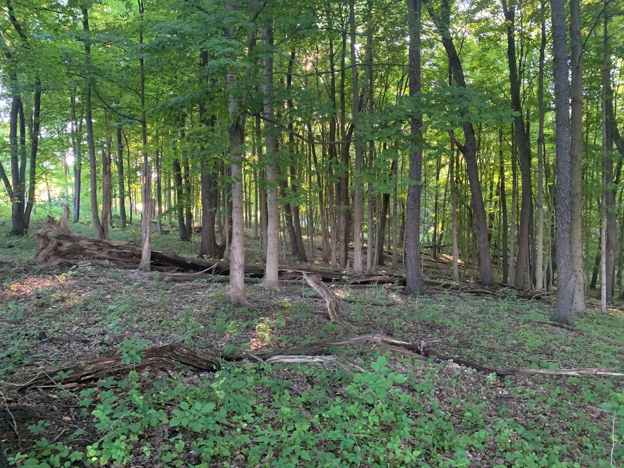 0 Gambier Road Mount Vernon, OH 43050 - Photo 7 of 14