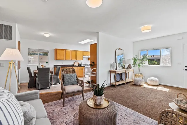 a living room with furniture potted plant and a lamp