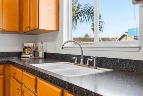 a kitchen with a sink and a potted plant