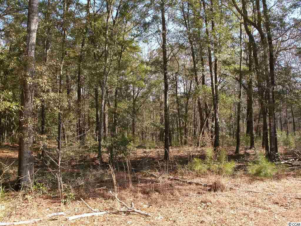 Lot 7 Shadow Moss Lane Murrells Inlet, SC 29576 - Photo 1 of 22 Gallery Image 1