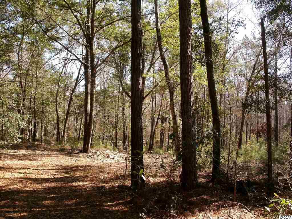 Lot 7 Shadow Moss Lane Murrells Inlet, SC 29576 - Photo 2 of 22 Gallery Image 2