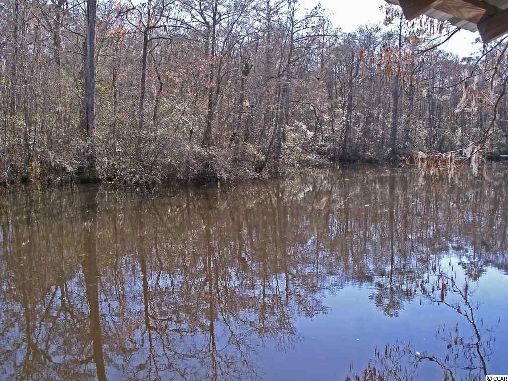 Lot 7 Shadow Moss Lane Murrells Inlet, SC 29576 - Photo 11 of 22 Gallery Image 11