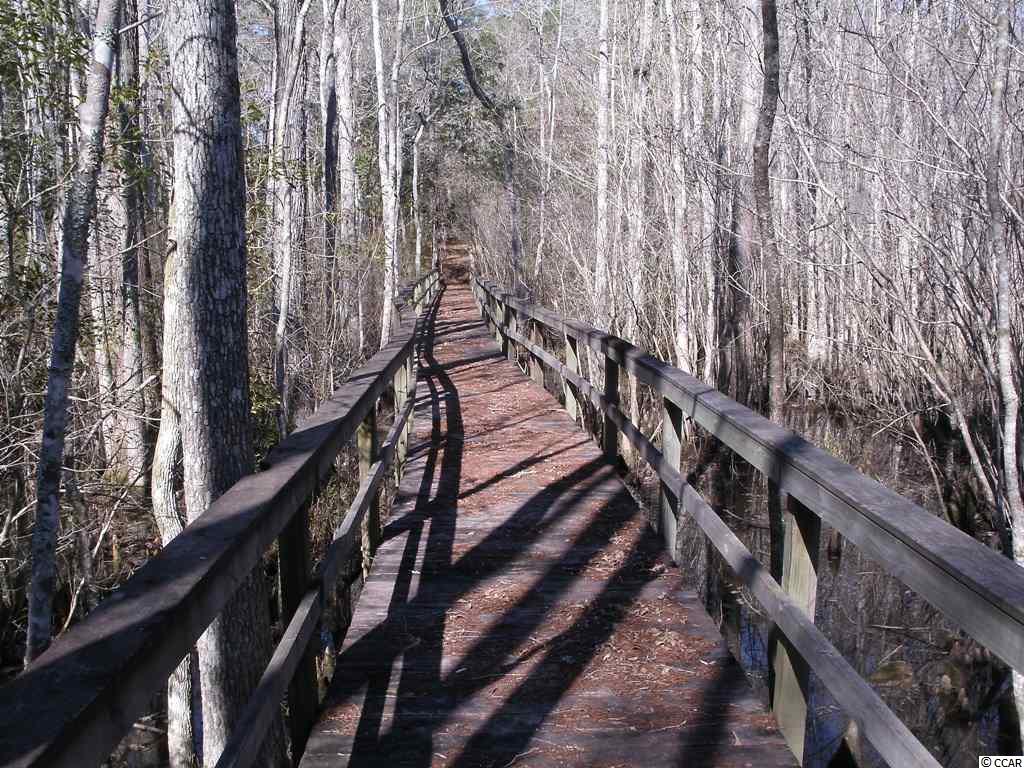 Lot 7 Shadow Moss Lane Murrells Inlet, SC 29576 - Photo 13 of 22 Gallery Image 13