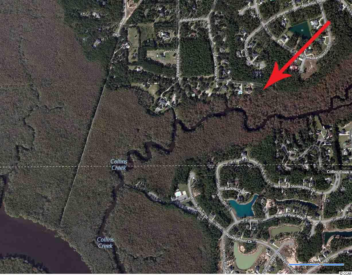 Lot 7 Shadow Moss Lane Murrells Inlet, SC 29576 - Photo 17 of 22 Gallery Image 17