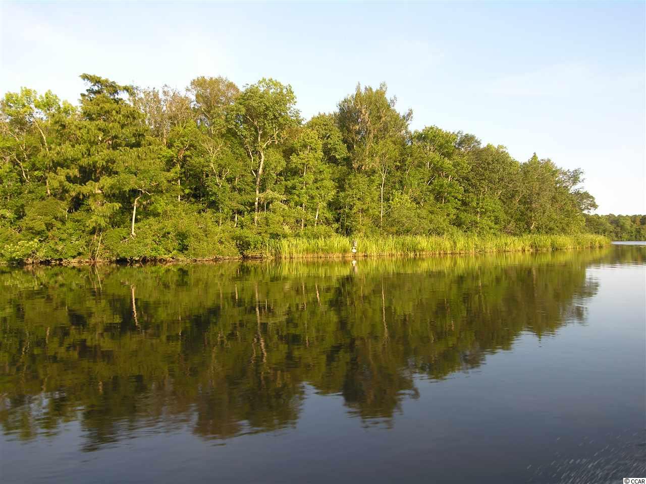 Lot 7 Shadow Moss Lane Murrells Inlet, SC 29576 - Photo 20 of 22 Gallery Image 20