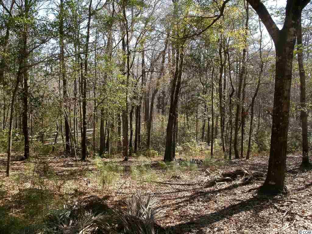 Lot 7 Shadow Moss Lane Murrells Inlet, SC 29576 - Photo 3 of 22 Gallery Image 3