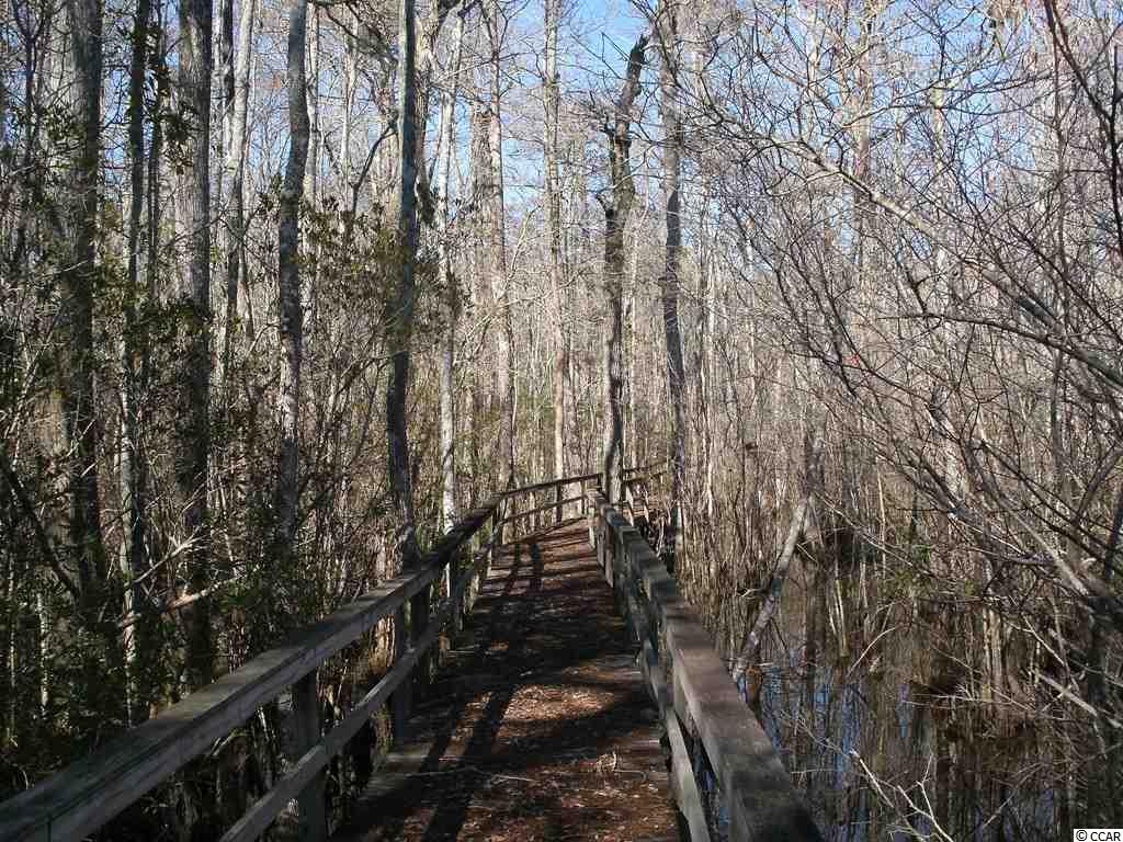 Lot 7 Shadow Moss Lane Murrells Inlet, SC 29576 - Photo 6 of 22 Gallery Image 6