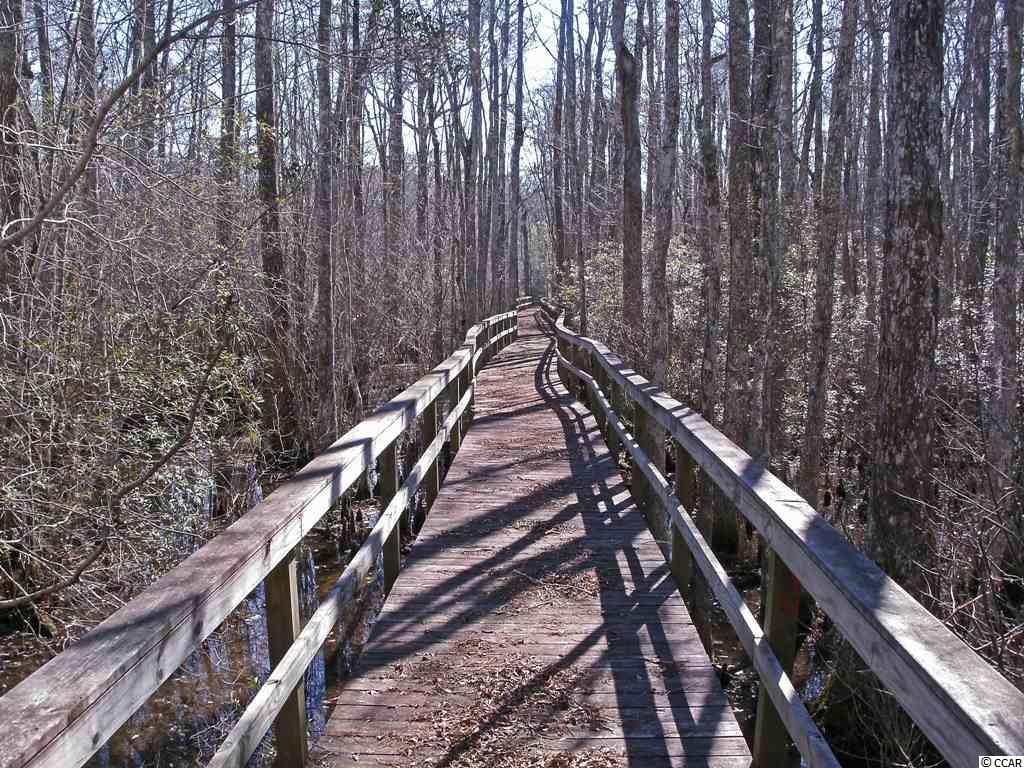 Lot 7 Shadow Moss Lane Murrells Inlet, SC 29576 - Photo 7 of 22 Gallery Image 7