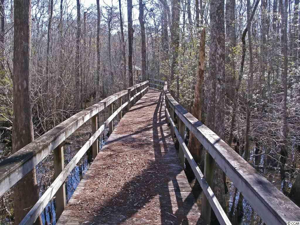Lot 7 Shadow Moss Lane Murrells Inlet, SC 29576 - Photo 8 of 22 Gallery Image 8