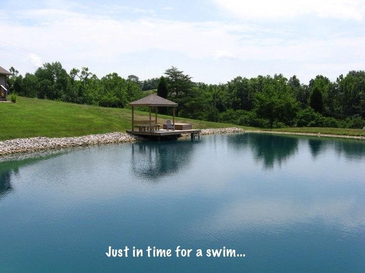 10725 Lotto Road Tell City, IN 47586 - Photo 2 of 22 Gallery Image 2