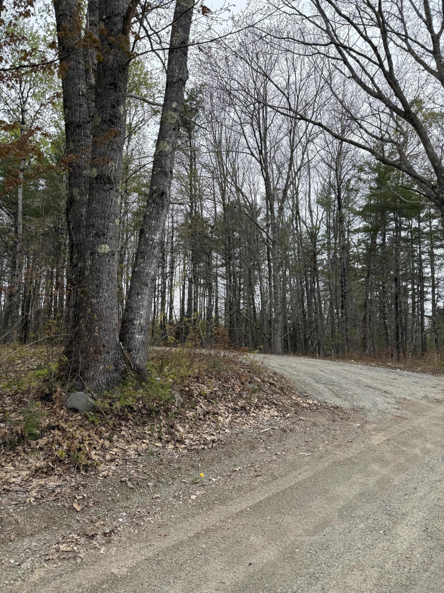 22 Albert Jones Road Washington, ME 04574 - Photo 3 of 9