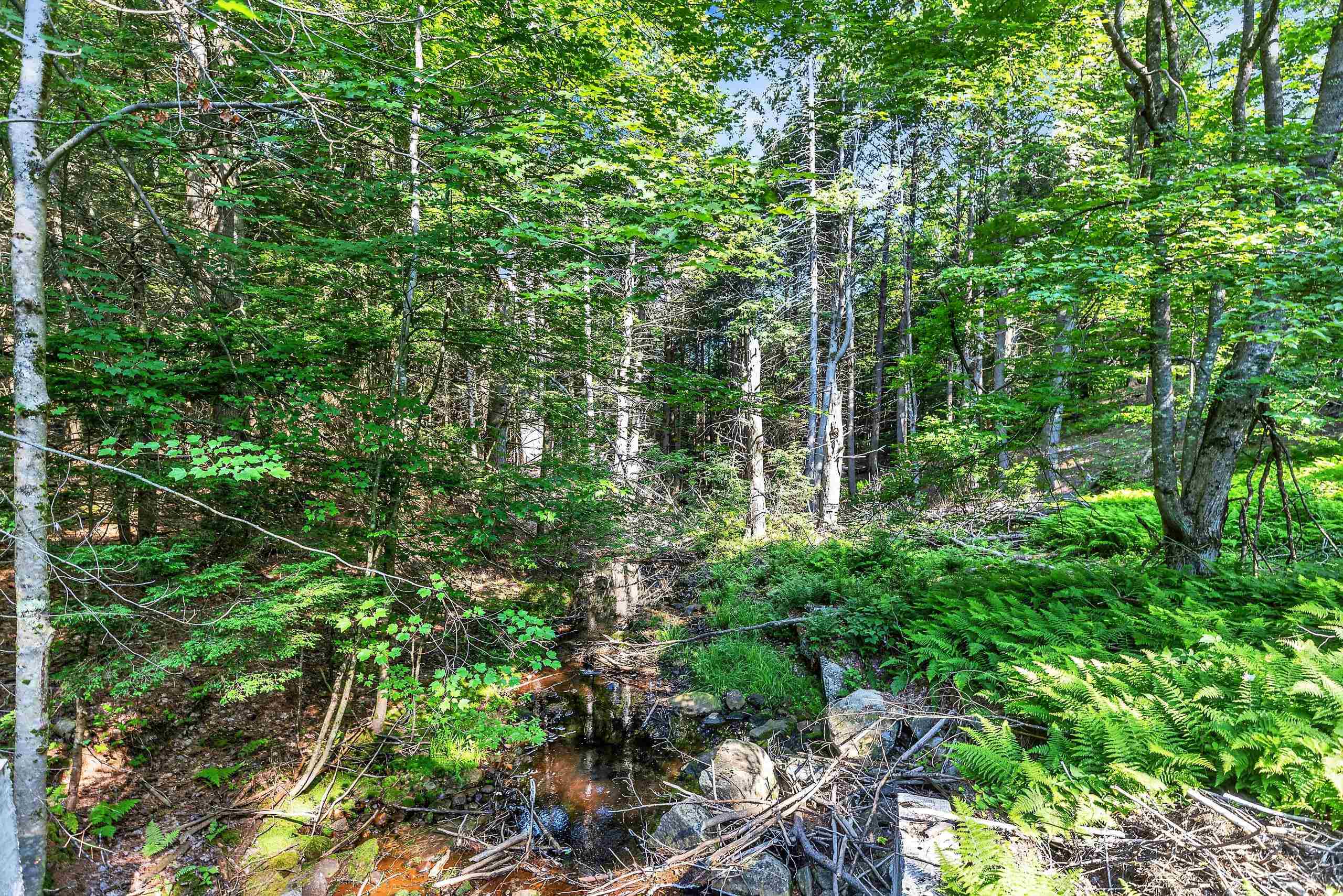 314 East Mountain Road Peterborough, NH 03458 - Photo 45 of 49