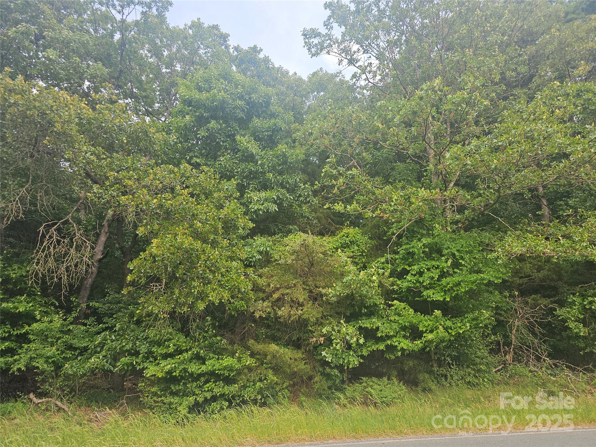 18-ac West M Griffin Road Monroe, NC 28112 - Photo 7 of 12 a view of a large yard with lots of bushes