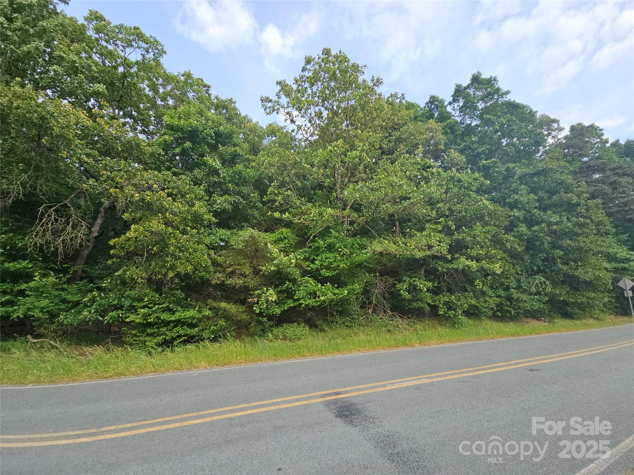 18-ac West M Griffin Road Monroe, NC 28112 - Photo 8 of 12 a view of a yard with a plants and trees in the background