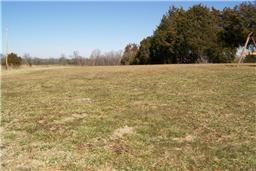 2551 Smoot Road Morrison, TN 37357 - Photo 4 of 9