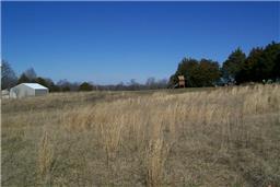 2551 Smoot Road Morrison, TN 37357 - Photo 7 of 9