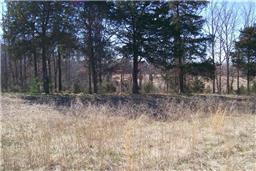 2551 Smoot Road Morrison, TN 37357 - Photo 8 of 9