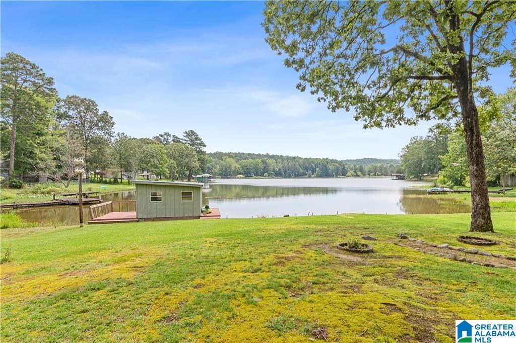 352 Harkins Lake Road Fayette, AL 35555 - Photo 10 of 41
