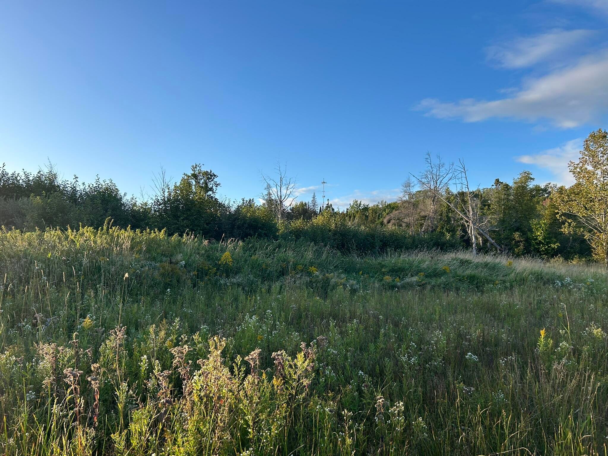 Epoufette Bay Road Naubinway, MI 49762 - Photo 9 of 26 Gallery Image 9