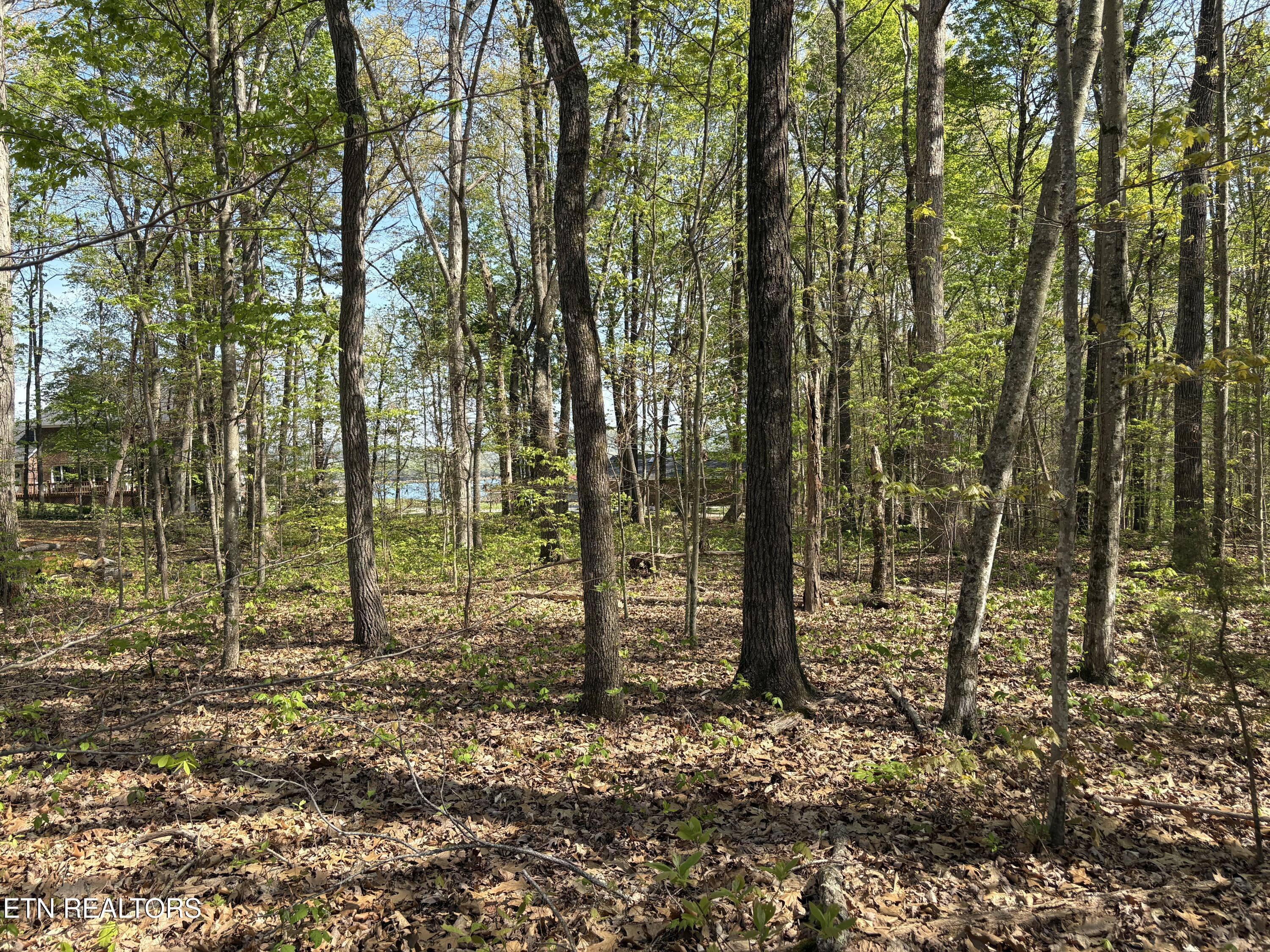 Grainger Landing Rutledge, TN 37861 - Photo 2 of 10 Lake view from property