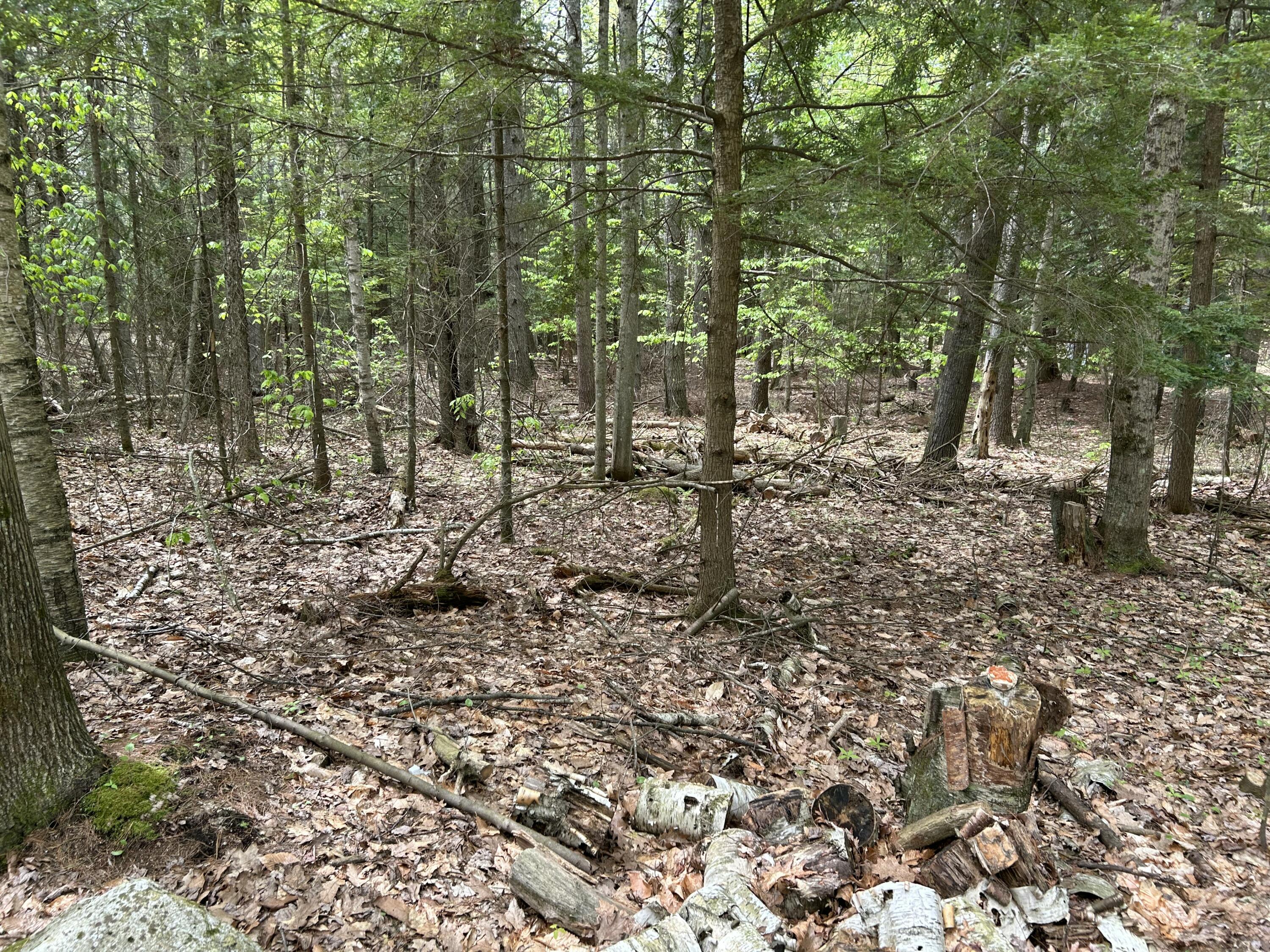 281 Randall Road Lewiston, ME 04240 - Photo 26 of 31