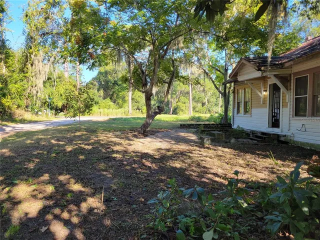 a view of a yard with plants and large trees