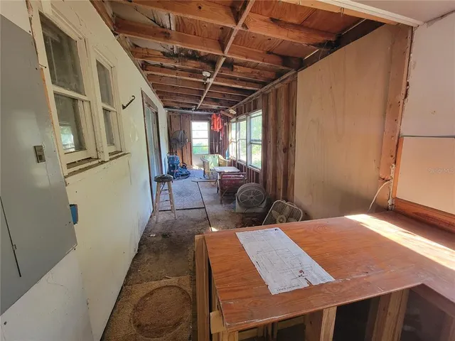a view of a yard with plants and trees
