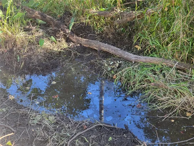 a view of front door of house