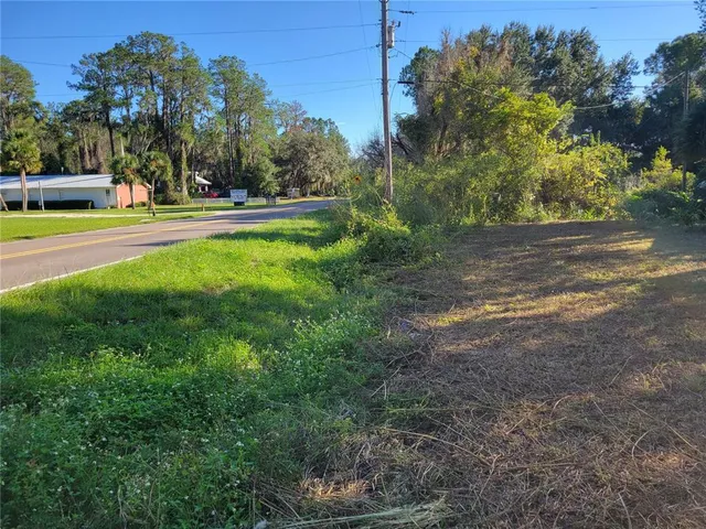 a view of outdoor space with garden