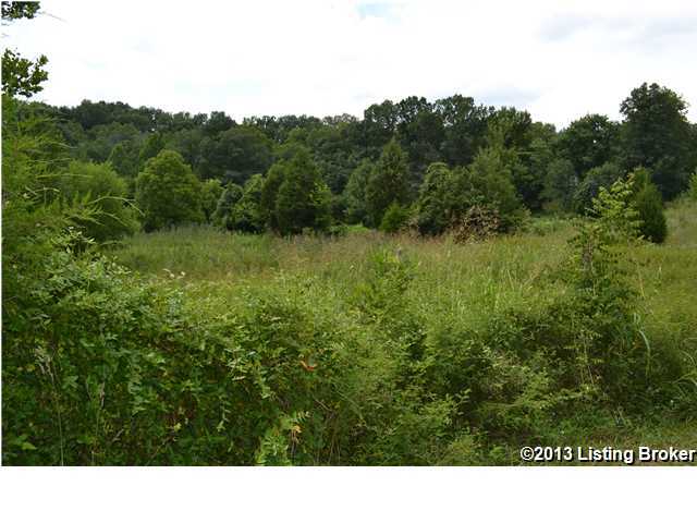 991 Ridge Road Shepherdsville, KY 40165 - Photo 3 of 29 Additional Photo