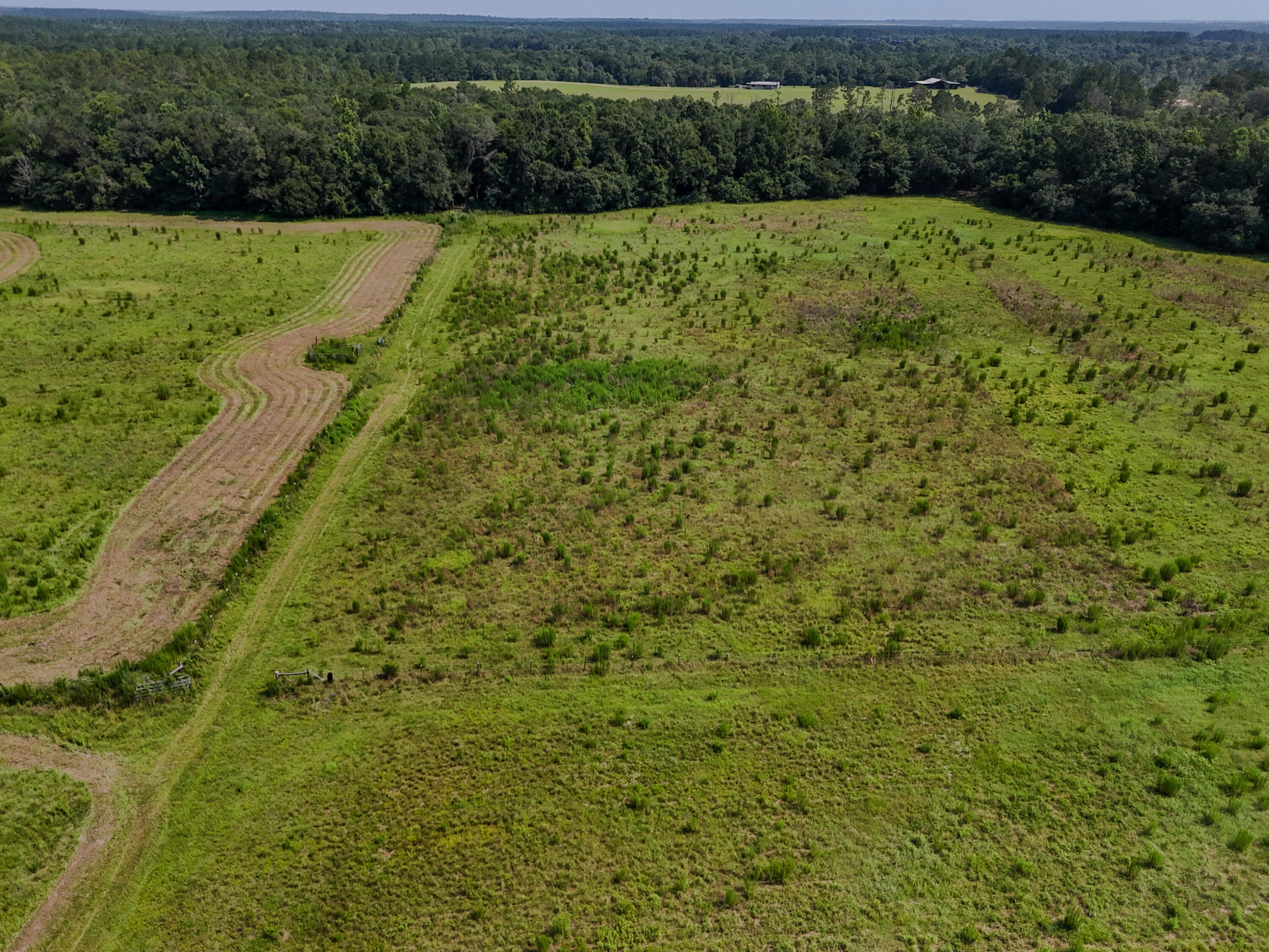 3128 County Road 10 Samson, AL 36477 - Photo 62 of 67 DJI_20260630231650_0037_D