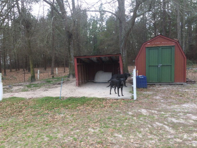 1346 Dairy Road Ridge Spring, SC 29129 - Photo 22 of 25