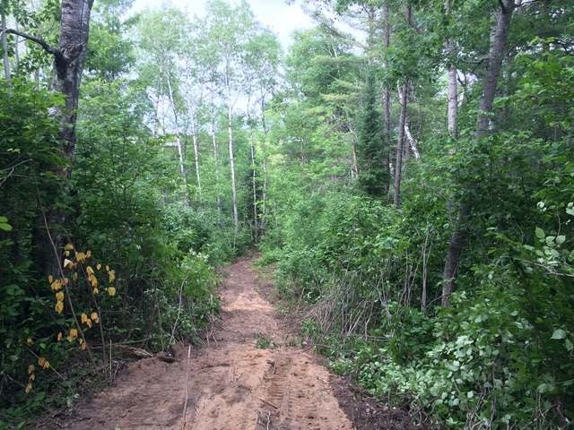 Lot B Hidden Waters Road Tomahawk, WI 54487 - Photo 11 of 15 Gallery Image 11