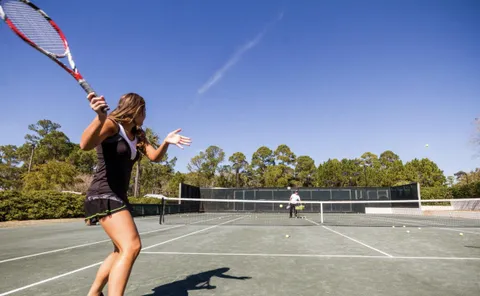 a view of a room with lots of trees