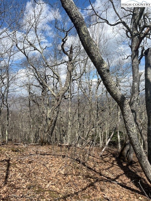 Fire Tower Road Road Boone, NC 28607 - Photo 4 of 5