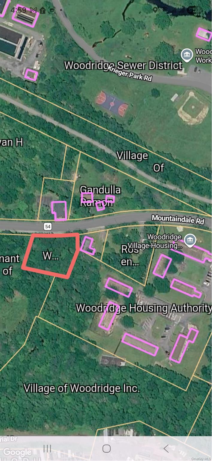 T/b/d Mountiandale Road Fallsburg, NY 12733 - Photo 4 of 4