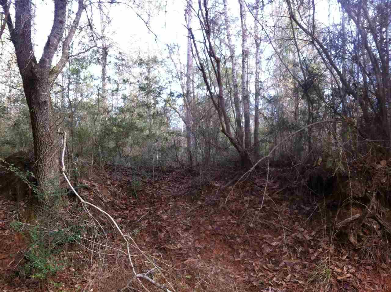 Lot 3 Red Cloud Road Baker, FL 32531 - Photo 14 of 15 Gallery Image 14